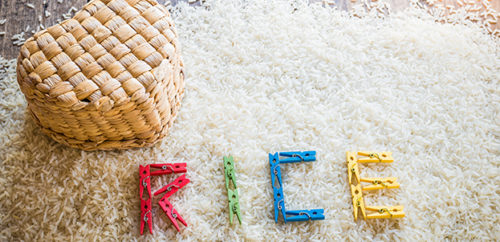 Have fun with rice these school holidays!